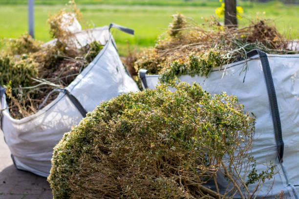 Best Office Junk Removal  in Kersey, CO